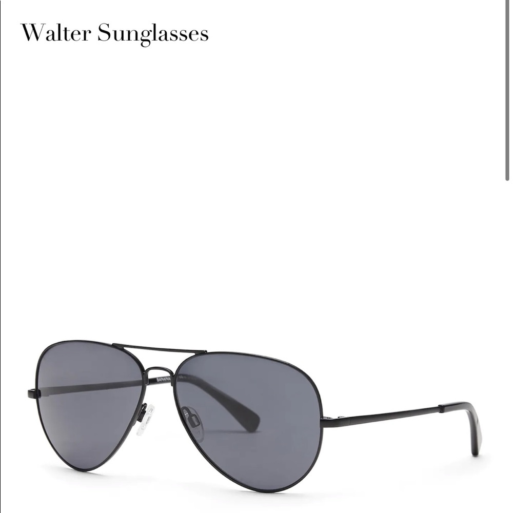 Banana republic Walter sunglasses